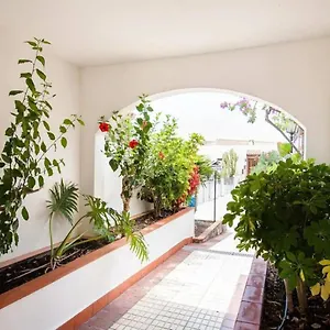1 Bedroom For 4 People In Tenerife Apartamento